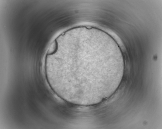 X0000103141199200809191957