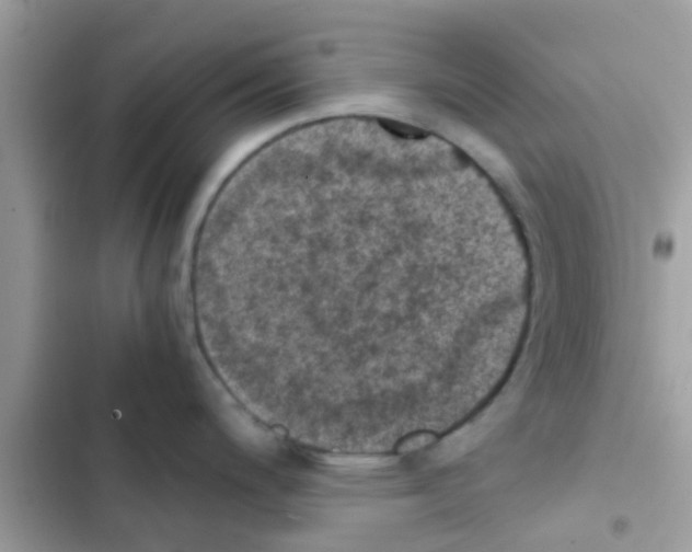 X0000103141200200809191957