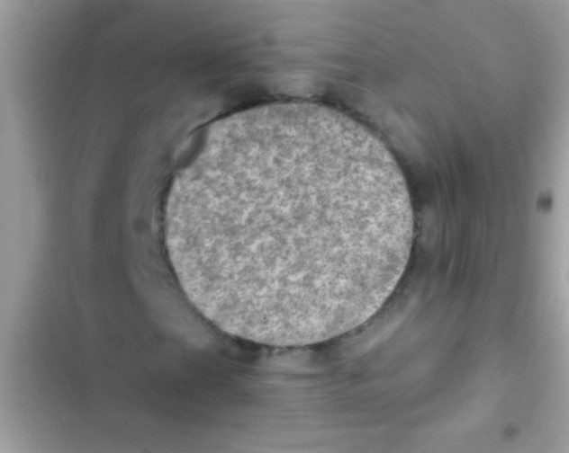 X0000103141201200809191956