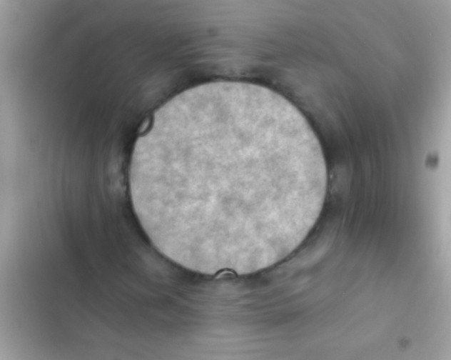 X0000103141202200809191956