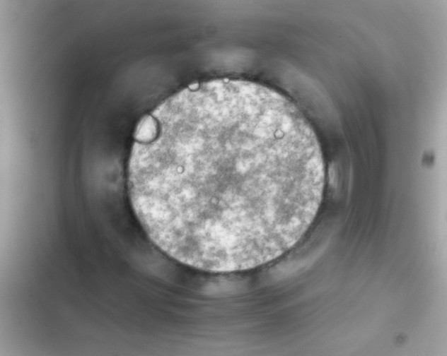 X0000103141203200809191956