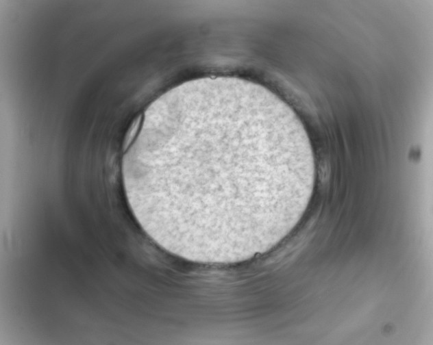 X0000103141204200809191956