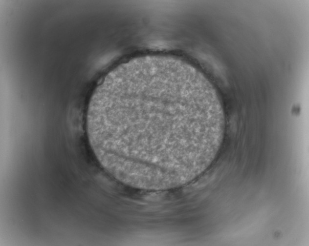 X0000103141205200809191956