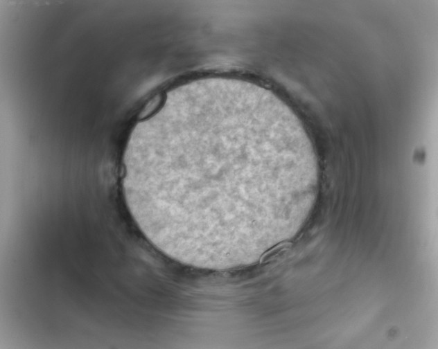 X0000103141206200809191956