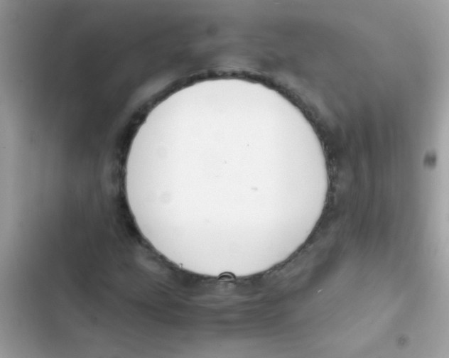 X0000103141207200809191956