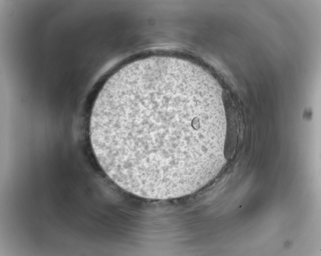 X0000103141208200809191956