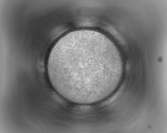 X0000103141209200809191957