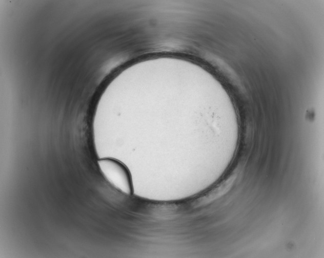 X0000103141210200809191957