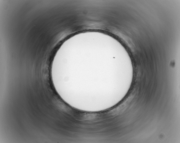 X0000103141211200809191957