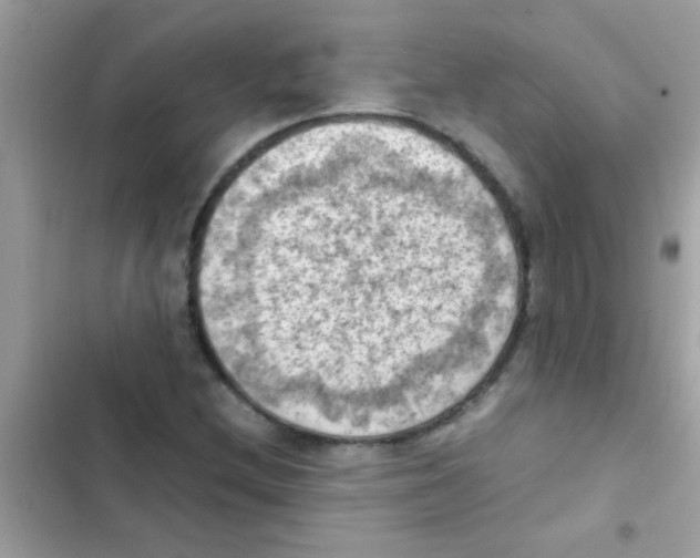 X0000103141212200809191957