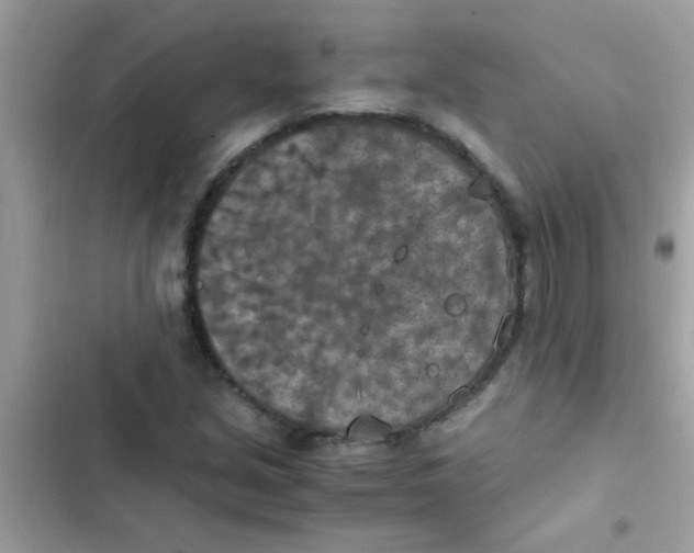 X0000103141213200809191957