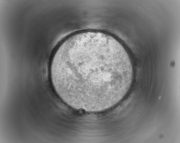 X0000103141214200809191957