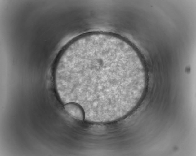 X0000103141215200809191957