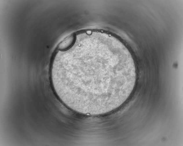 X0000103141216200809191957