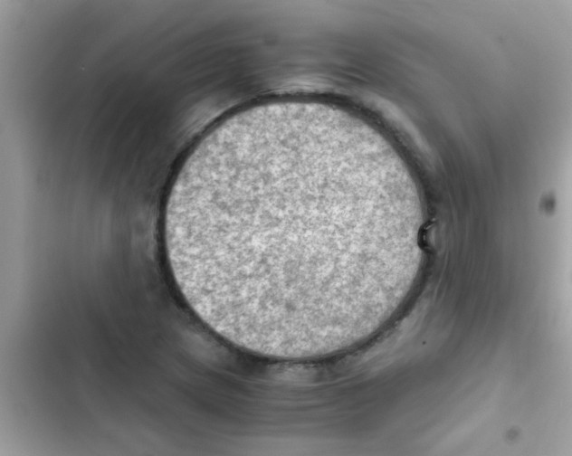 X0000103141217200809191957