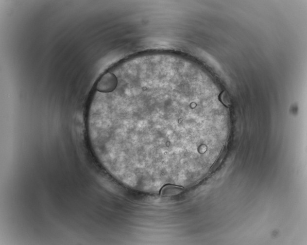 X0000103141218200809191957