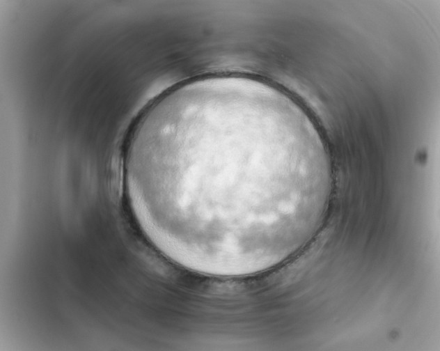 X0000103141219200809191957