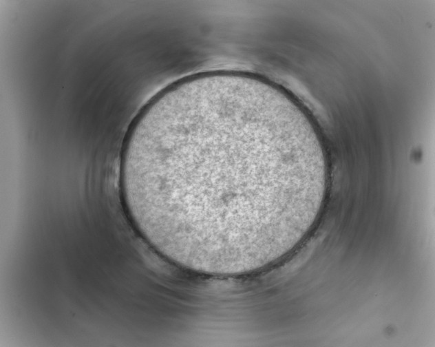 X0000103141220200809191957