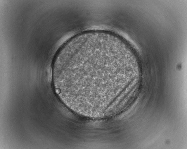 X0000103141221200809191957