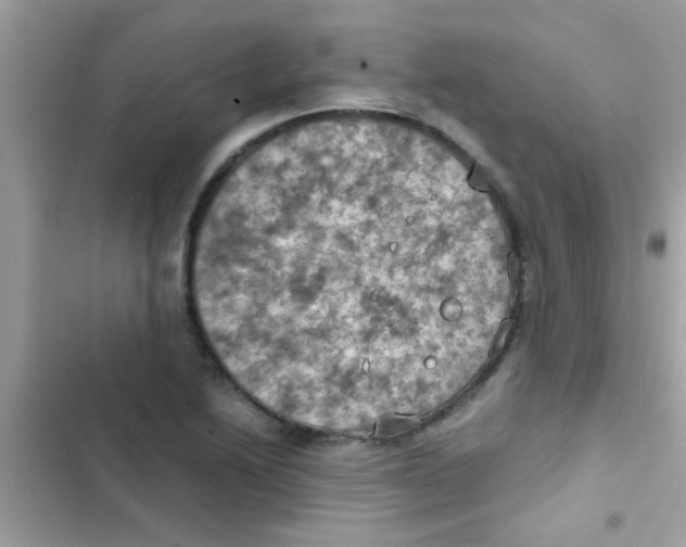 X0000103141222200809191957