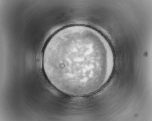 X0000103141223200809191957