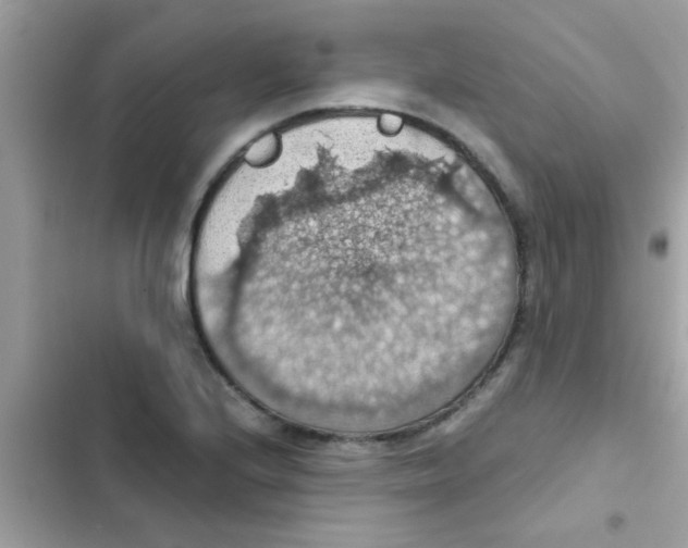 X0000103141224200809191957