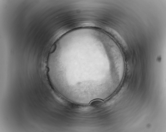 X0000103141225200809191957