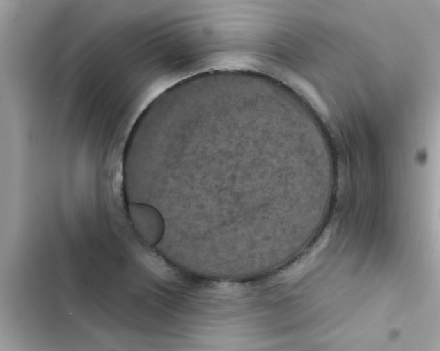 X0000103141226200809191957