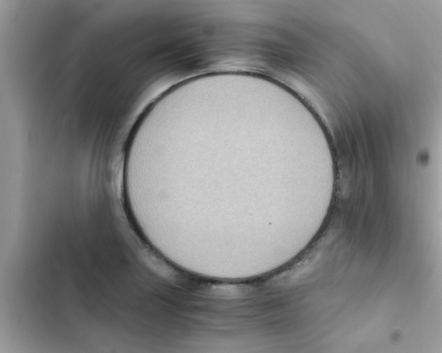 X0000103141227200809191957