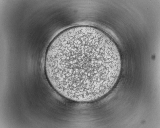 X0000103141228200809191957