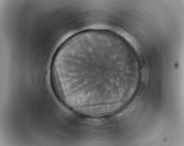 X0000103141229200809191957