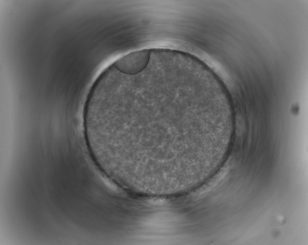 X0000103141230200809191957