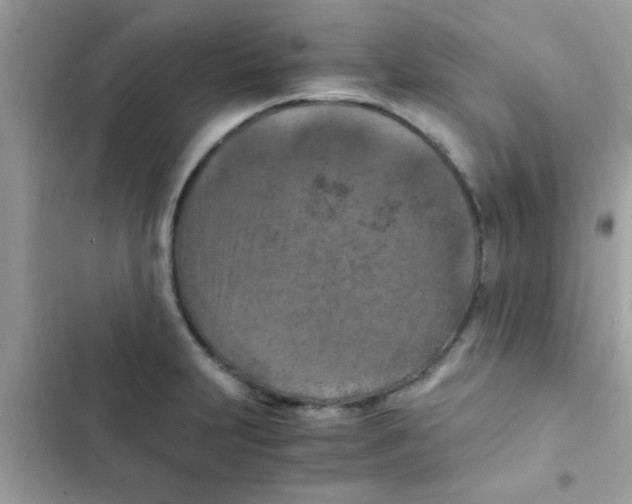 X0000103141231200809191957