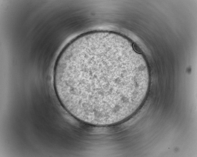 X0000103141232200809191957