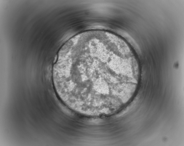 X0000103141233200809191957