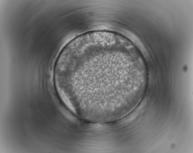 X0000103141234200809191957