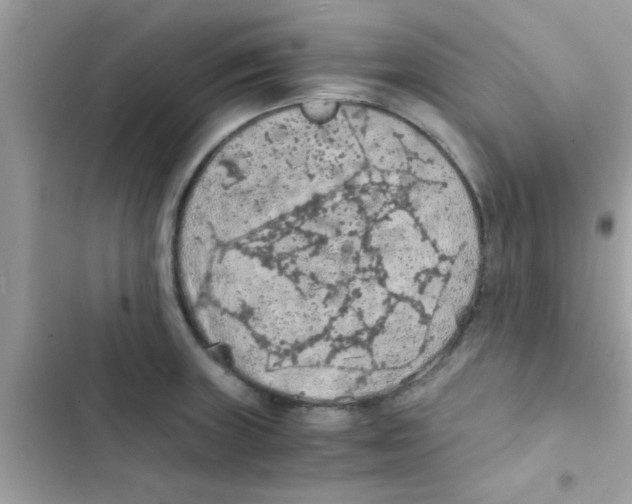 X0000103141235200809191957