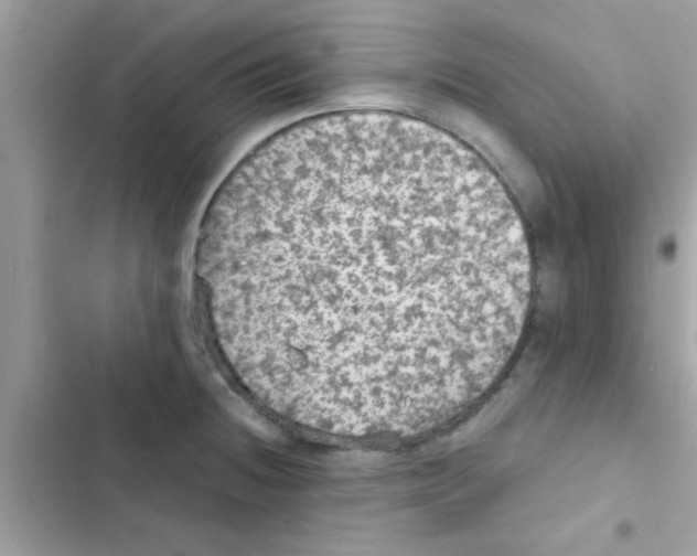 X0000103141236200809191957