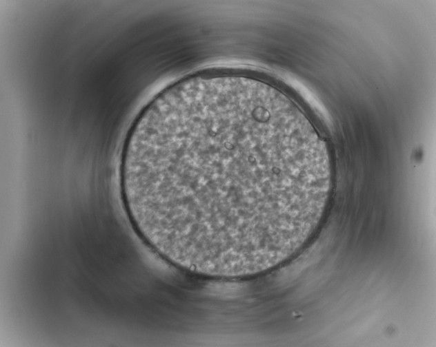 X0000103141237200809191957