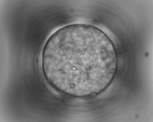 X0000103141238200809191957