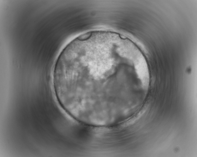 X0000103141239200809191957