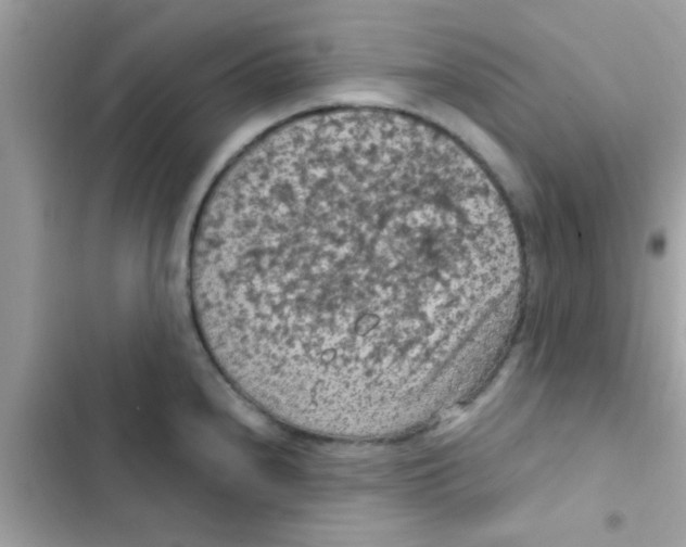 X0000103141240200809191957