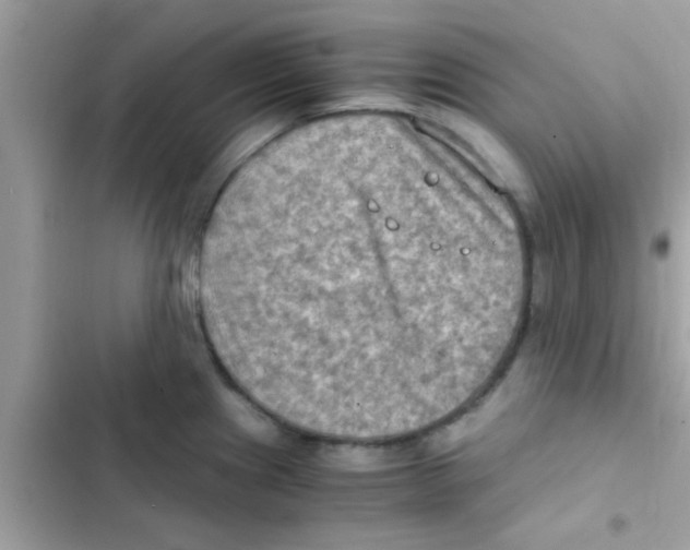 X0000103141241200809191957