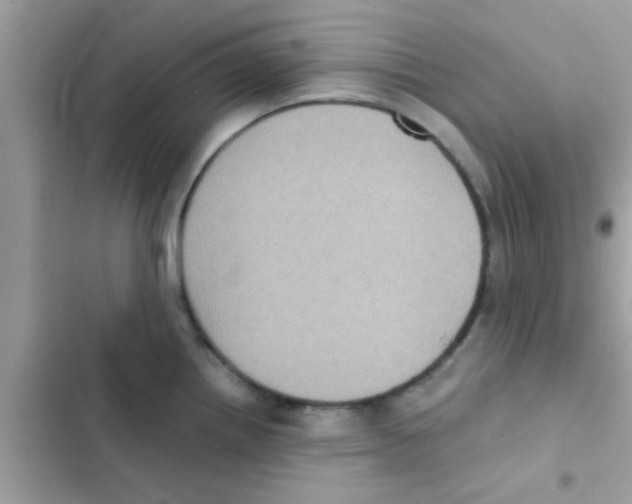 X0000103141242200809191957