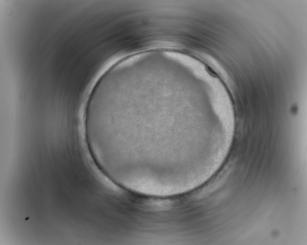 X0000103141243200809191957