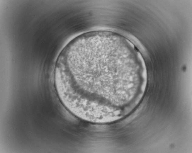 X0000103141244200809191957