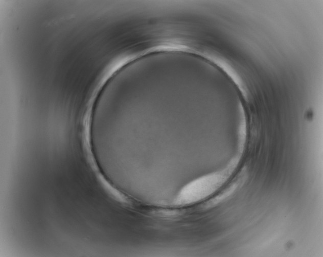 X0000103141245200809191957