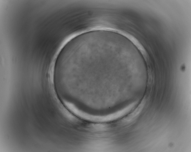 X0000103141246200809191957