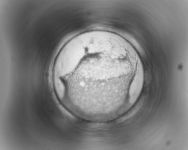 X0000103141247200809191957