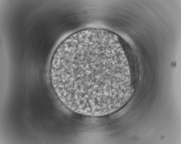 X0000103141248200809191957